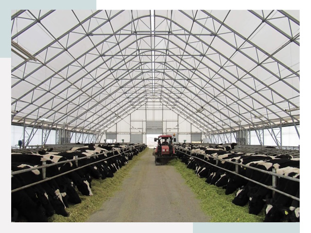 Тентовые коровники в Стрежевом от 612 руб. - Надежно и доступно